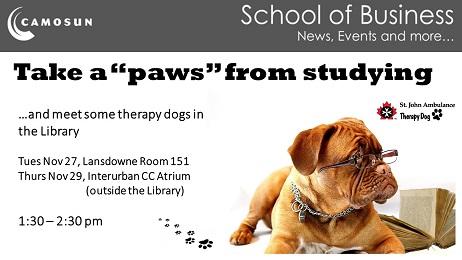 Therapy Dog Sessions